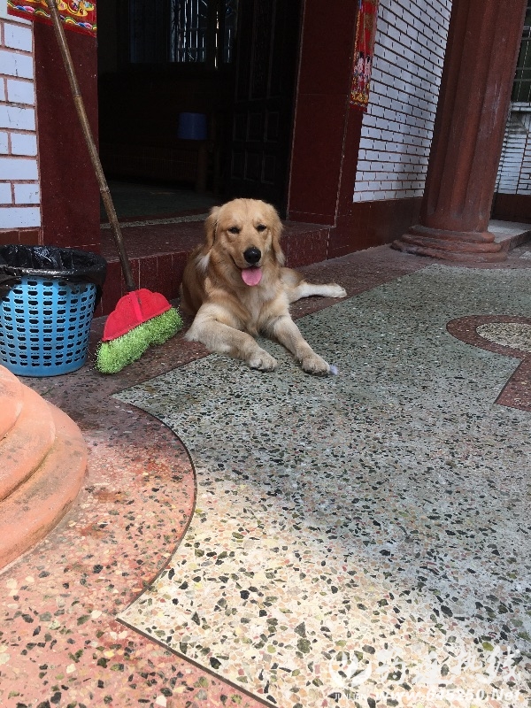 image.jpeg