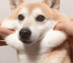 0.gif