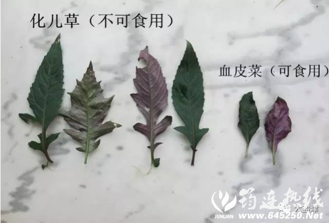 3ec75cfb2e14e6fd39dd18b1240c353c.jpg