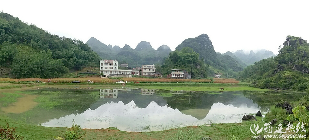20170825_095955-1-1_.jpg