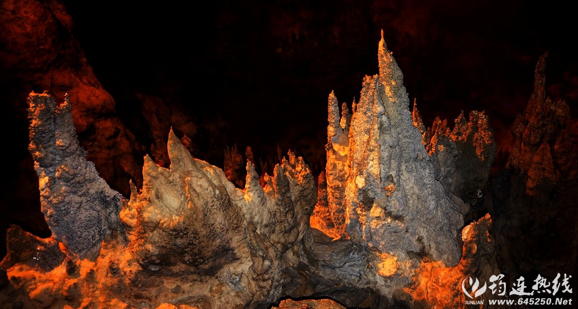 DSC00939___.jpg