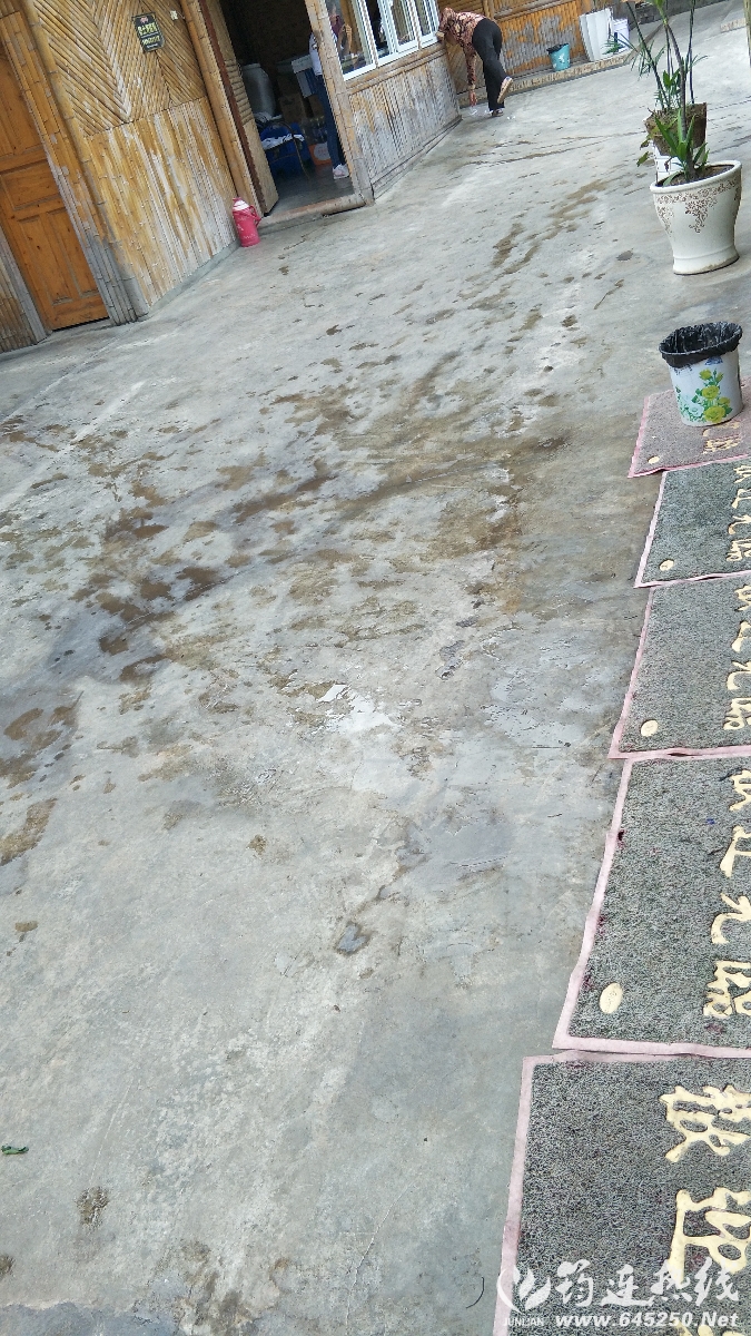 IMG20171006145516.jpg