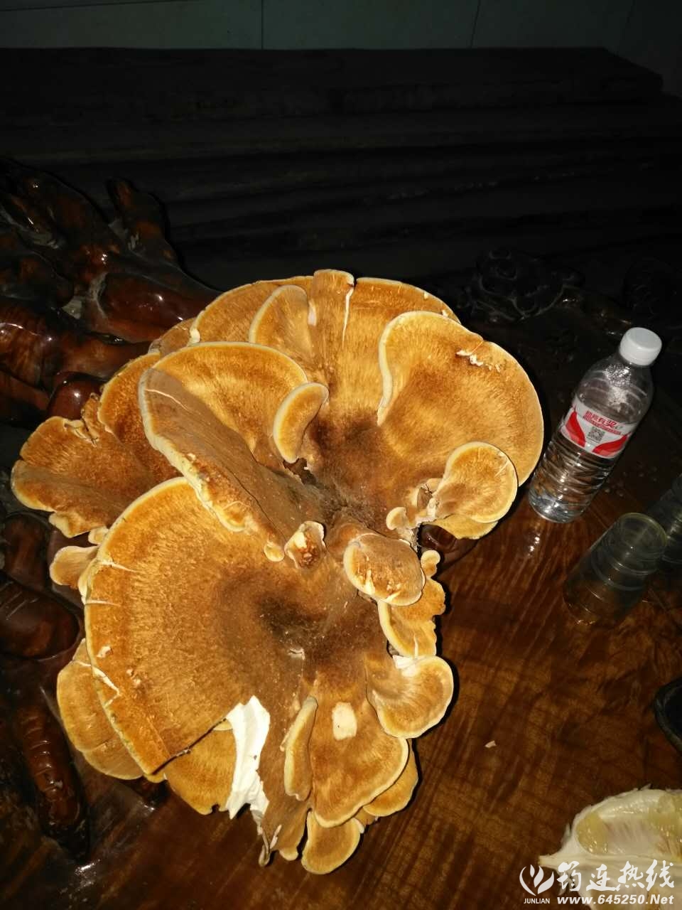΢ͼƬ_20171007131324.jpg