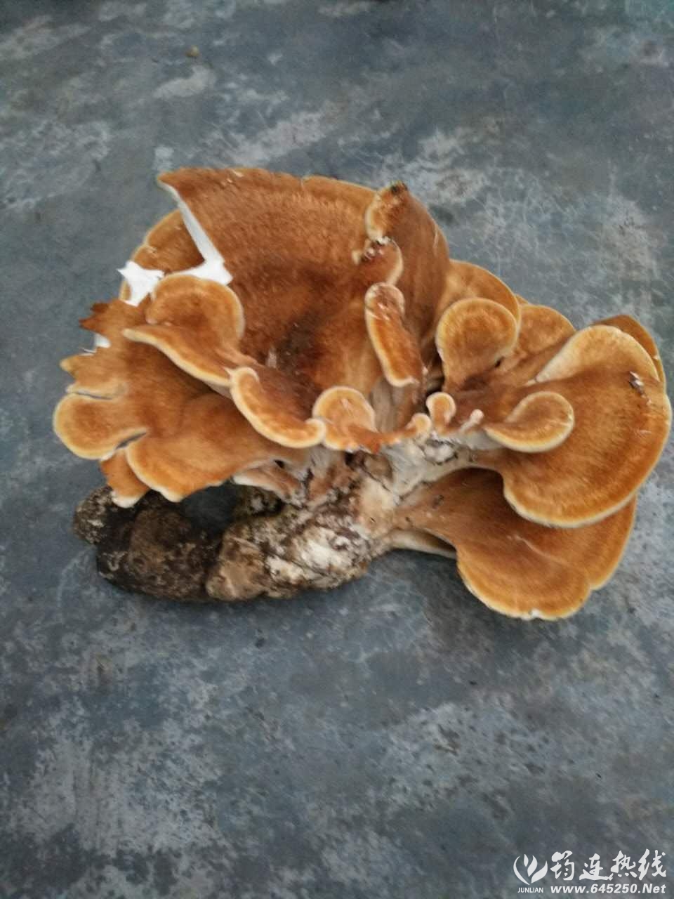 ΢ͼƬ_20171007131342.jpg