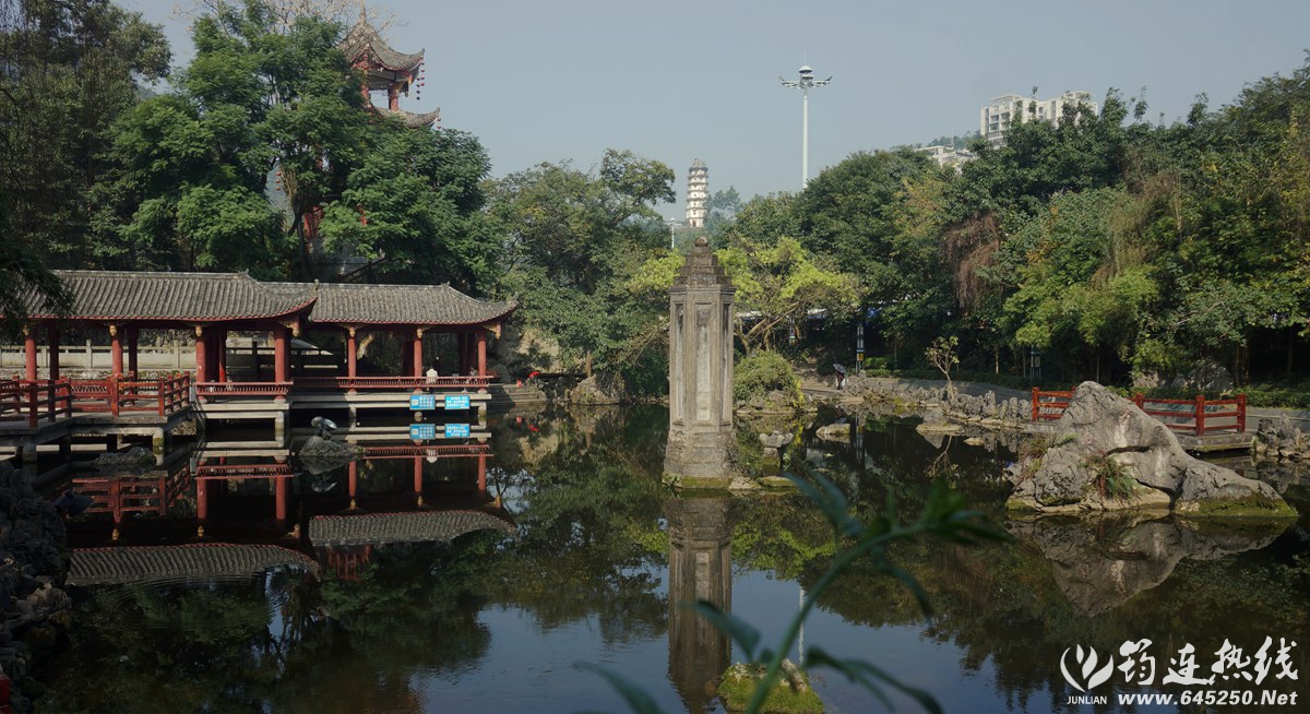 DSC00003_.jpg