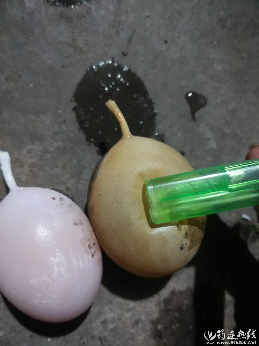 22.jpg