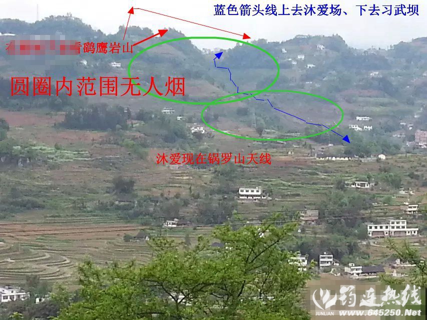 202927temhsm1mdoxn0mx7.jpg