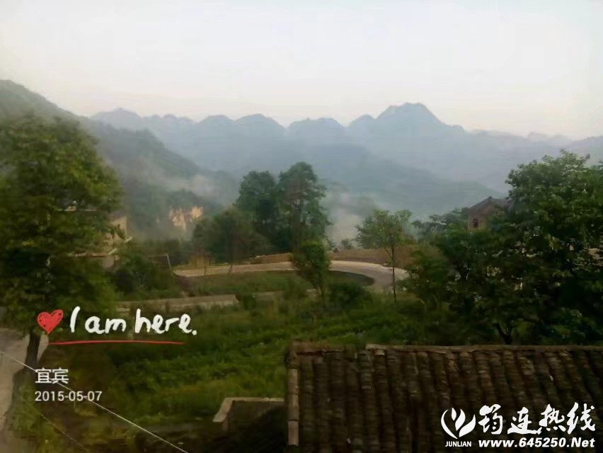 wechat_upload162890123861170f76501bd