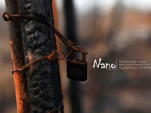 nanoƷĸ𡾻ֹ12Сʱ