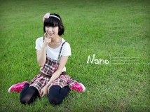 NanoҵһƬд